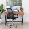 ANTON Study Desk