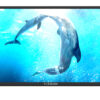 Vitron HTC3218- 32"INCH, FRAMELESS HD LED Digital TV Inbuilt Decoder USB HDMI